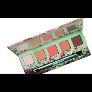 LIMITED EDITION URBAN DECAY PALETTE!